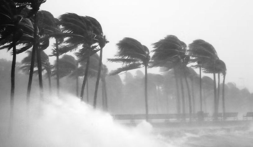 Tall palm trees bend in strong winds as large ocean waves crash onto the shore, creating mist and spray. The stormy scene highlights the importance of disaster preparedness amid blurred visibility and intense weather.